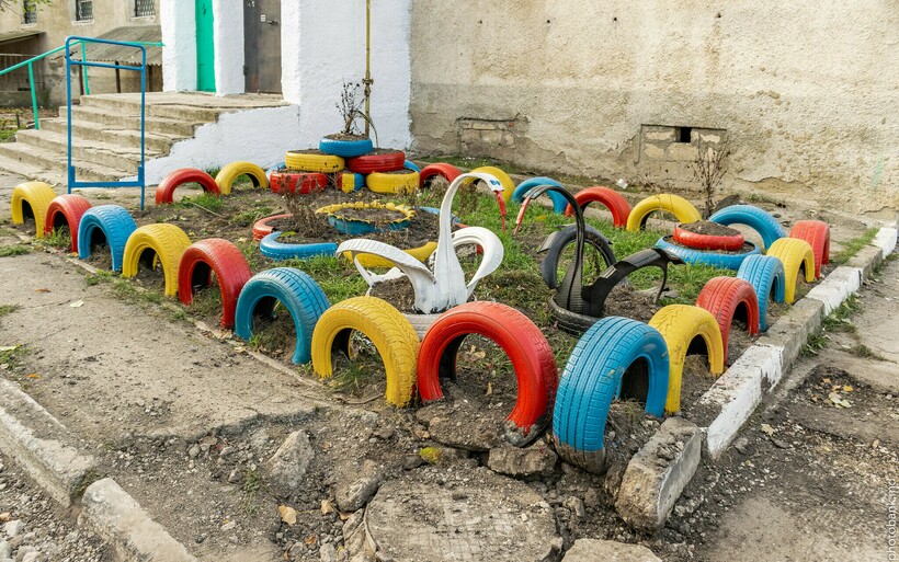 Белый и черный лебеди, каких много в России. Фото: Photobank MD/flickr.com Белый и черный лебеди, каких много в России. Фото: Photobank MD/flickr.com