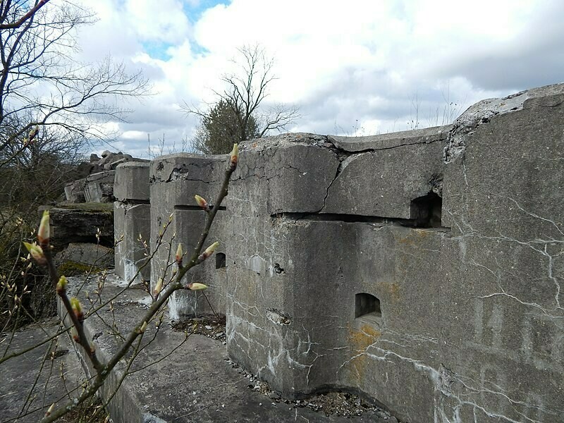 Фото: commons.wikimedia.org Фото: commons.wikimedia.org