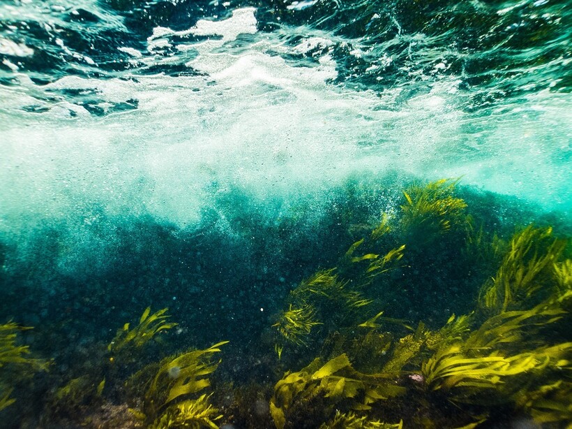 Фото: TheOtherBen/pixabay.com Фото: TheOtherBen/pixabay.com