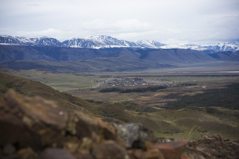 Фото: sivakovdenis/pixabay.com Фото: sivakovdenis/pixabay.com