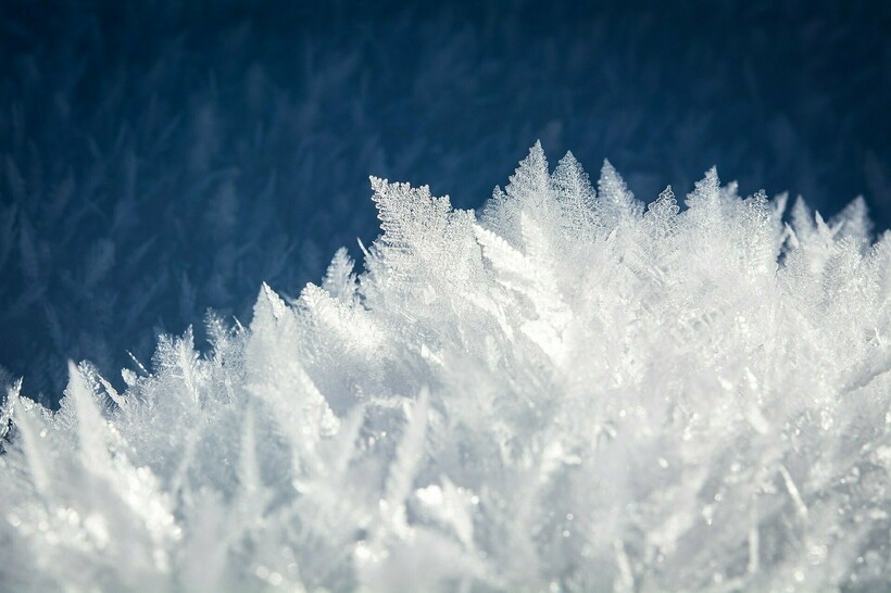 Фото: Pezibear/pixabay.com Фото: Pezibear/pixabay.com