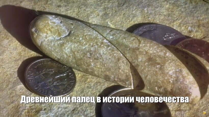 Блог - Видео: Окаменелый палец возрастом 100 000 000 лет, ароматный аметист и другие находки Видео: Окаменелый палец возрастом 100 000 000 лет, ароматный аметист и другие находки