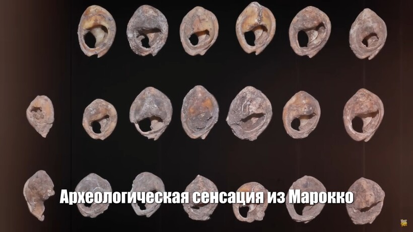 Блог - Видео: Окаменелый палец возрастом 100 000 000 лет, ароматный аметист и другие находки Видео: Окаменелый палец возрастом 100 000 000 лет, ароматный аметист и другие находки