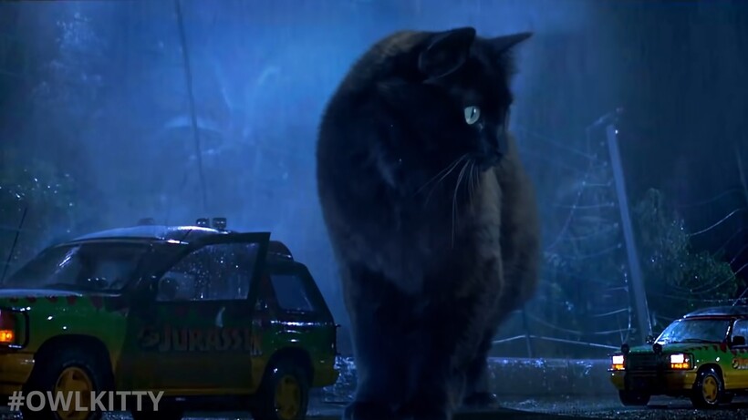 Блог - Новые хищники в старом кино: коты сменили динозавров в «Парке юрского периода» Новые хищники в старом кино: коты сменили динозавров в «Парке юрского периода»
