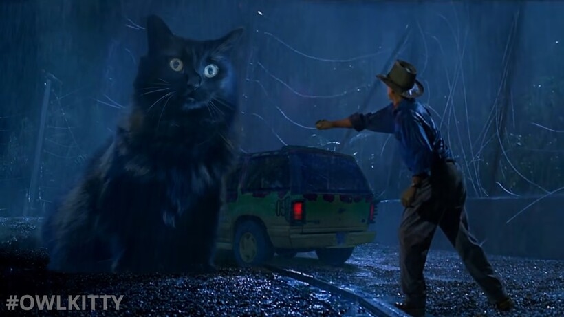 Блог - Новые хищники в старом кино: коты сменили динозавров в «Парке юрского периода» Новые хищники в старом кино: коты сменили динозавров в «Парке юрского периода»