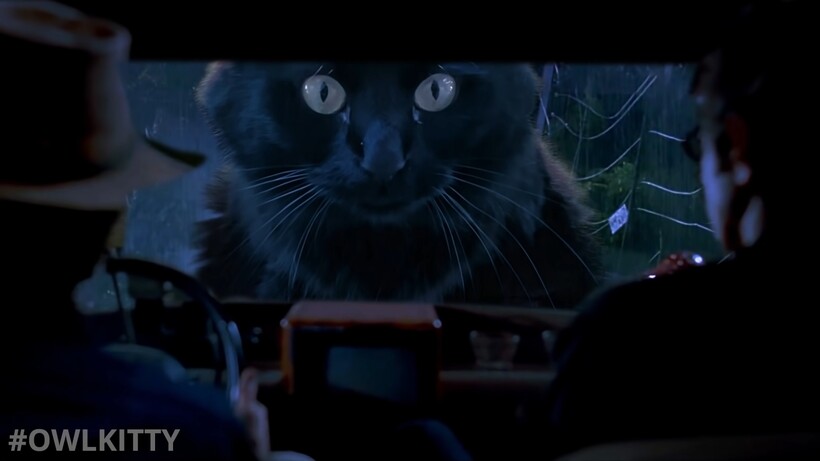 Блог - Новые хищники в старом кино: коты сменили динозавров в «Парке юрского периода» Новые хищники в старом кино: коты сменили динозавров в «Парке юрского периода»