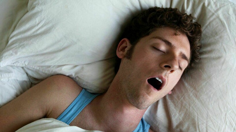 Блог - Комары кусаются, потому что человек сладкий, и еще 14 мифов о вредителях Комары кусаются, потому что человек сладкий, и еще 14 мифов о вредителях