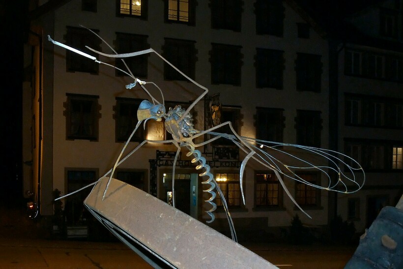 Блог - Комары кусаются, потому что человек сладкий, и еще 14 мифов о вредителях Комары кусаются, потому что человек сладкий, и еще 14 мифов о вредителях