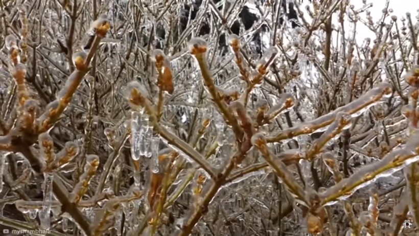 Блог - Видео: Самые странные случаи непогоды, снятые на камеру Видео: Самые странные случаи непогоды, снятые на камеру