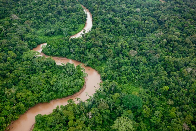 В густых лесах Бразилии живут разные народы. Фото: loeildelaphotographie.com В густых лесах Бразилии живут разные народы. Фото: loeildelaphotographie.com