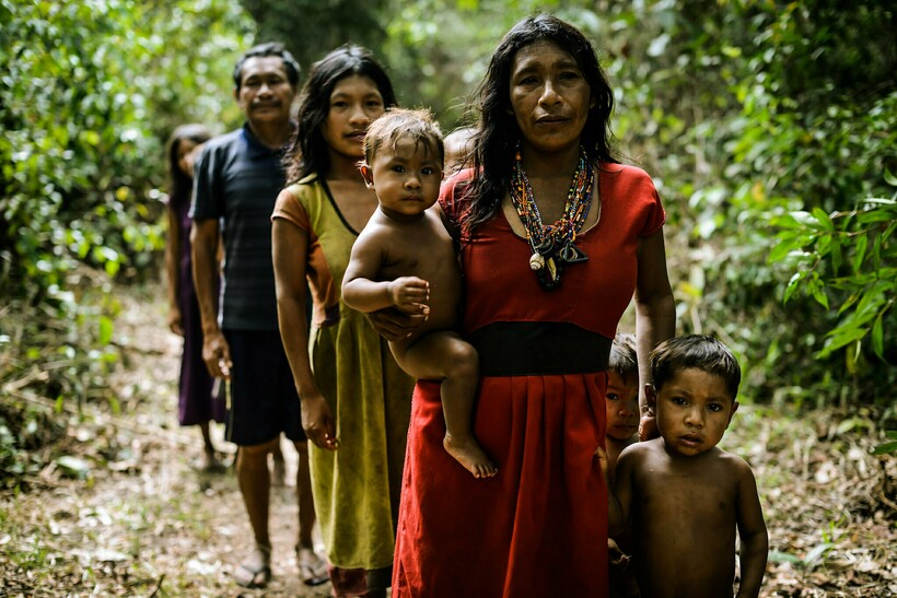 Сегодня племя более охотно идет на контакт, нежели несколько десятилетий назад. Фото: factinate.com Сегодня племя более охотно идет на контакт, нежели несколько десятилетий назад. Фото: factinate.com