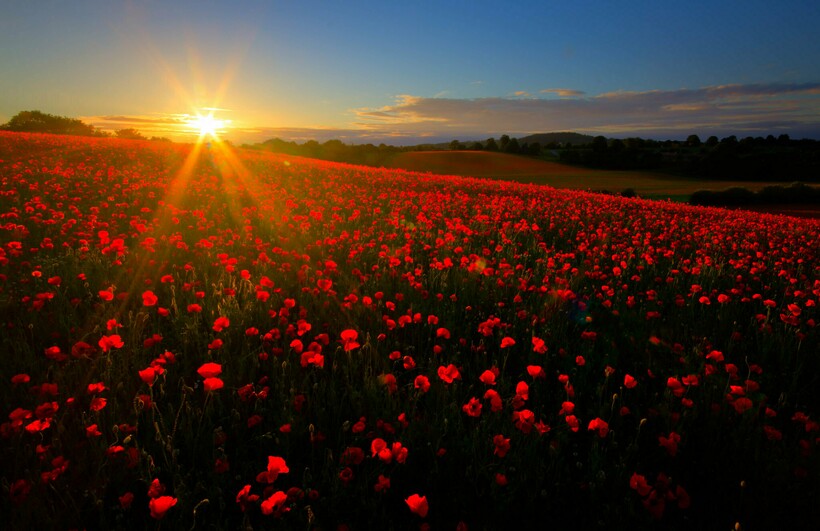 Заповедник Блэкстоун в Великобритании. Фото: Graeme Tozer/flickr.com