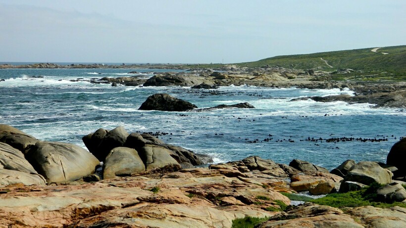 Заповедник мыса Колумбайн в Африке. Фото: Allan Watt/flickr.com