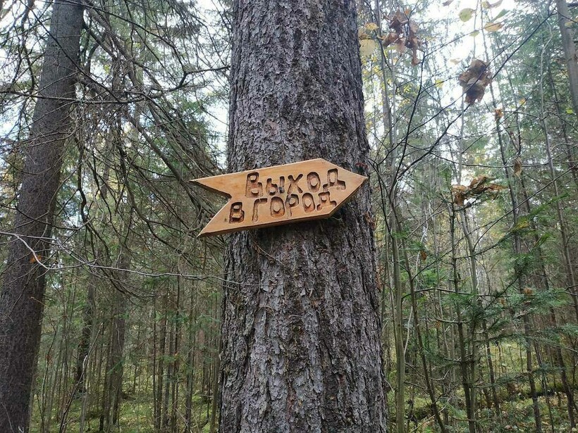 Блог - 12 случаев, доказывающих, что изменить мир к лучшему можно сущими мелочами 12 случаев, доказывающих, что изменить мир к лучшему можно сущими мелочами