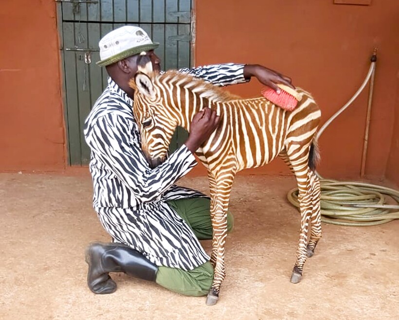 Блог - 12 случаев, доказывающих, что изменить мир к лучшему можно сущими мелочами 12 случаев, доказывающих, что изменить мир к лучшему можно сущими мелочами