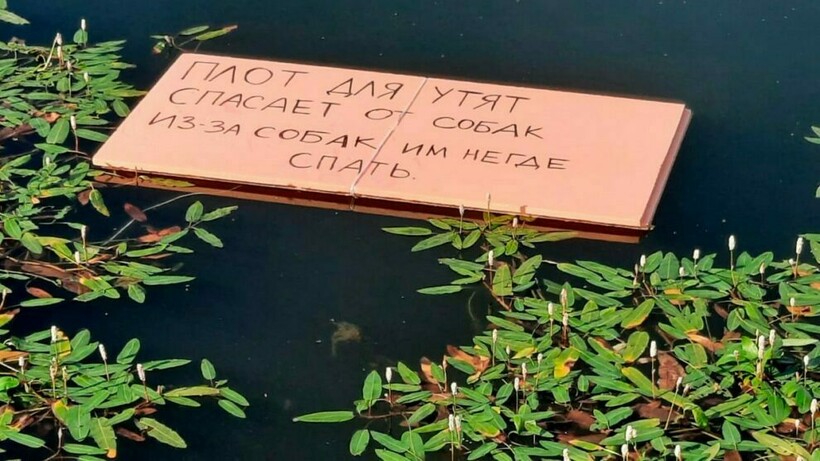 Блог - 12 случаев, доказывающих, что изменить мир к лучшему можно сущими мелочами 12 случаев, доказывающих, что изменить мир к лучшему можно сущими мелочами