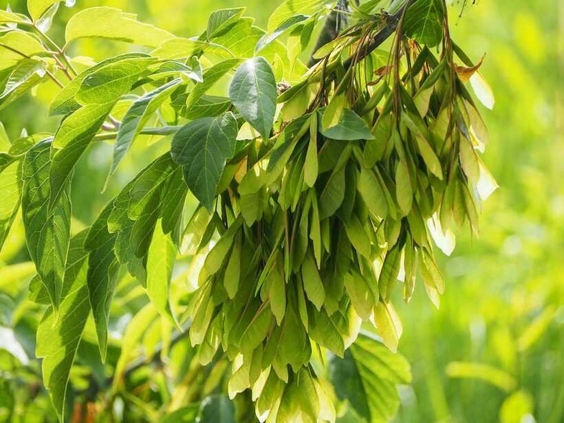 Фото: rgazeta.by Фото: rgazeta.by