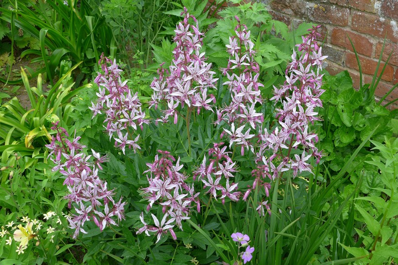 Фото: Scott Zona/flickr.com Фото: Scott Zona/flickr.com