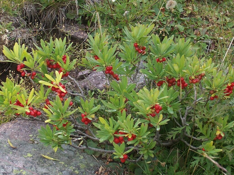 Фото: guido_agostini/flickr.com Фото: guido_agostini/flickr.com