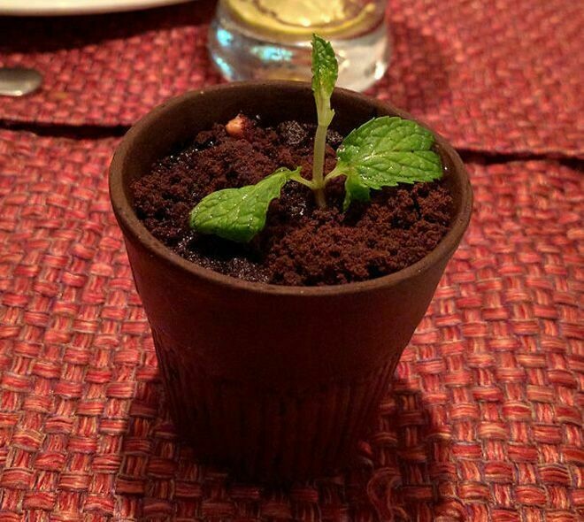 Блог - 9 блюд с креативной подачей, которая может перебить аппетит 9 блюд с креативной подачей, которая может перебить аппетит