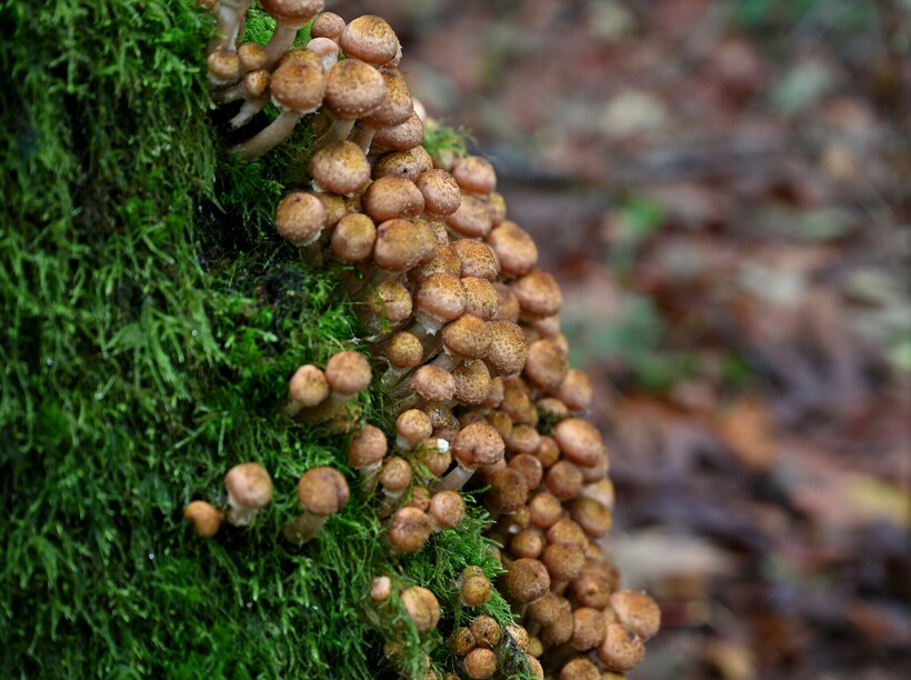 Фото: roaming-the-planet/flickr.com Фото: roaming-the-planet/flickr.com