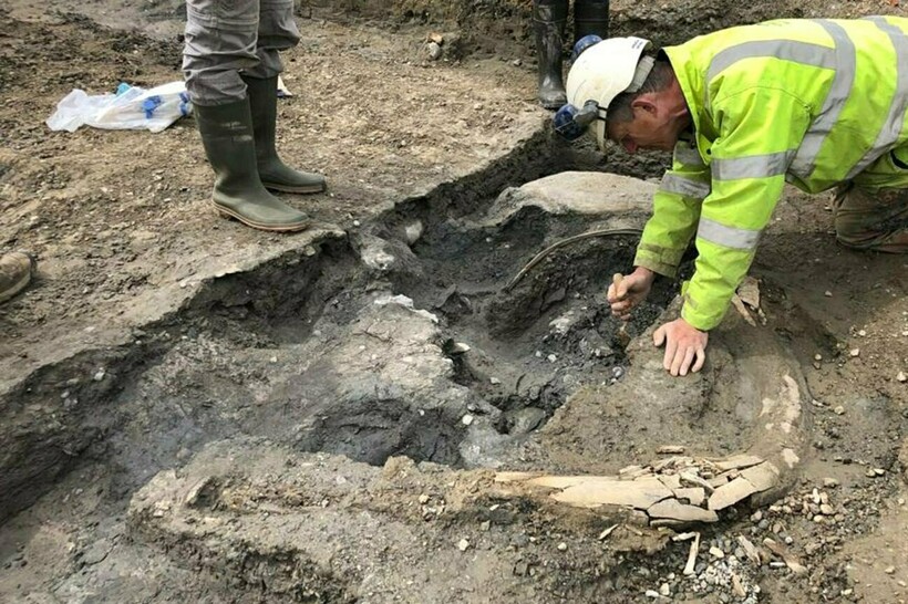 Фото: popmech.ru Фото: popmech.ru