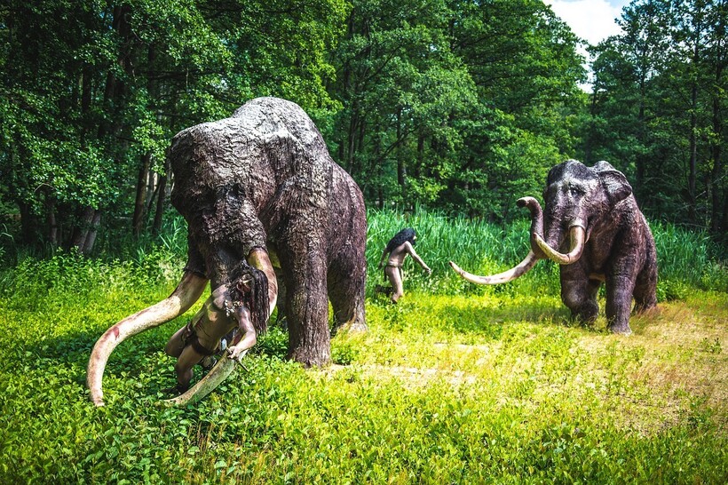 Фото: falco/pixabay.com Фото: falco/pixabay.com