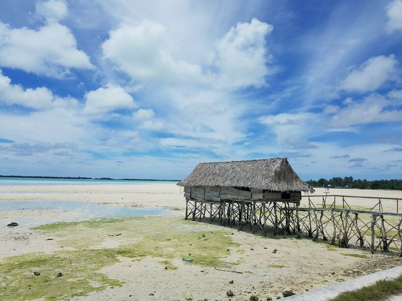 Фото: uusc4all/flick.ru Фото: uusc4all/flick.ru