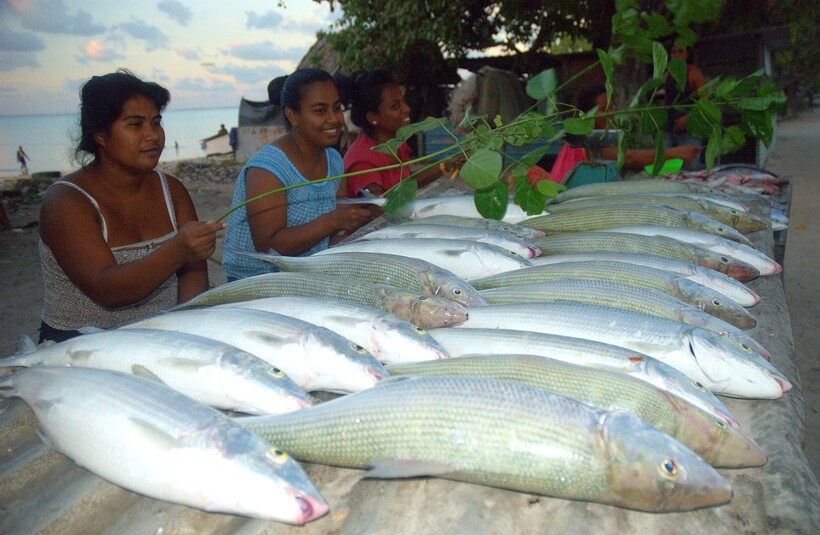 Фото: WorldFish/flick.ru Фото: WorldFish/flick.ru