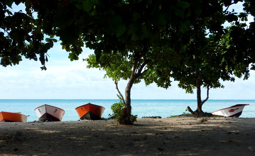 Фото: WorldFish/flick.ru Фото: WorldFish/flick.ru