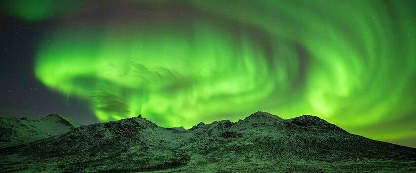 Фото: rtvi.com Фото: rtvi.com