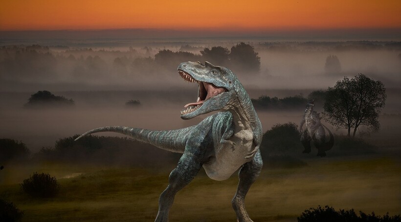 Фото: jcoope12/pixabay.com Фото: jcoope12/pixabay.com