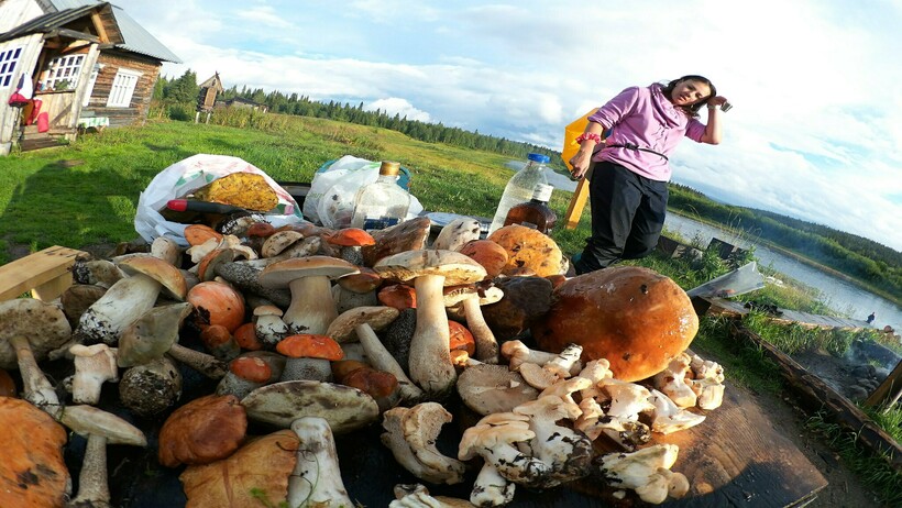 Фото: Valery Lvov/flickr.com Фото: Valery Lvov/flickr.com