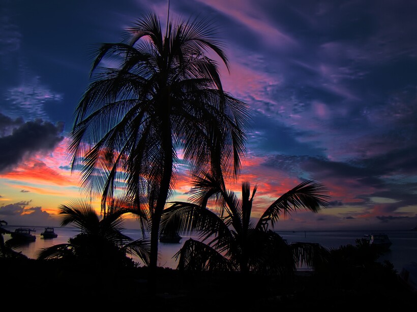 Фото: Badr Naseem/flickr.com Фото: Badr Naseem/flickr.com