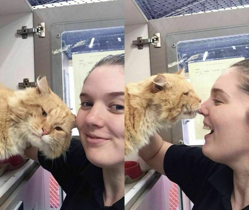 Блог - 15 дивных фотографий от работников приютов, которые как могут помогают животным 15 дивных фотографий от работников приютов, которые как могут помогают животным