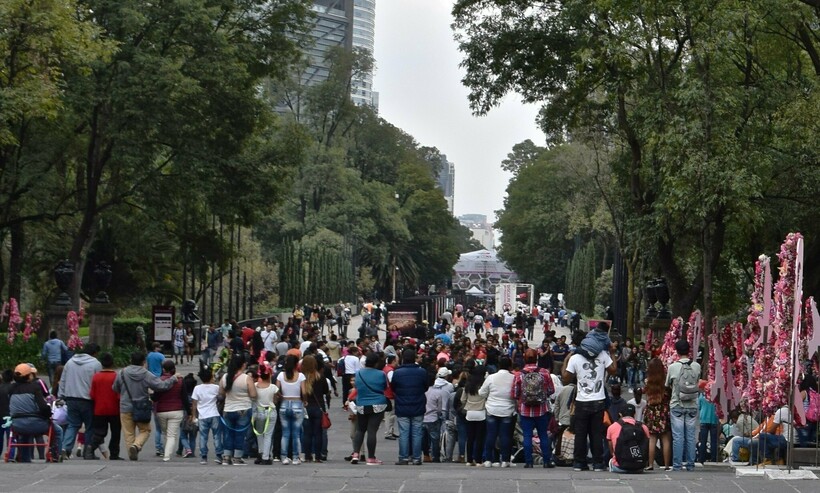 Фото: Deb Nystrom/flickr.com Фото: Deb Nystrom/flickr.com