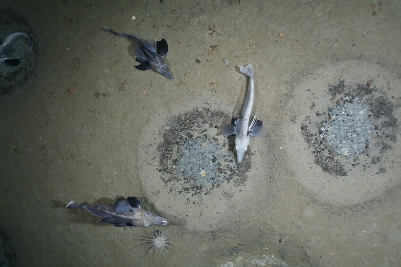 Фото: bmbf.de Фото: bmbf.de