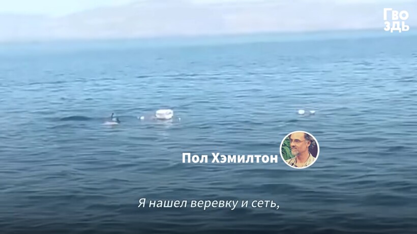 Блог - Видео: Люди заметили в море кучу мусора, присмотрелись и бросились на помощь Видео: Люди заметили в море кучу мусора, присмотрелись и бросились на помощь