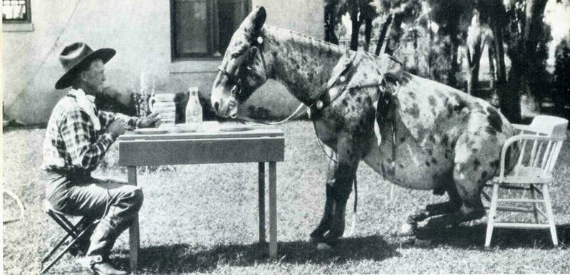 Блог - 10 снимков животных от журнала LIFE, которые были сделаны в самый нужный момент 10 снимков животных от журнала LIFE, которые были сделаны в самый нужный момент