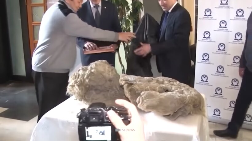 Блог - Видео: Находки, которые тысячи лет лежали во льду и отлично сохранились Видео: Находки, которые тысячи лет лежали во льду и отлично сохранились