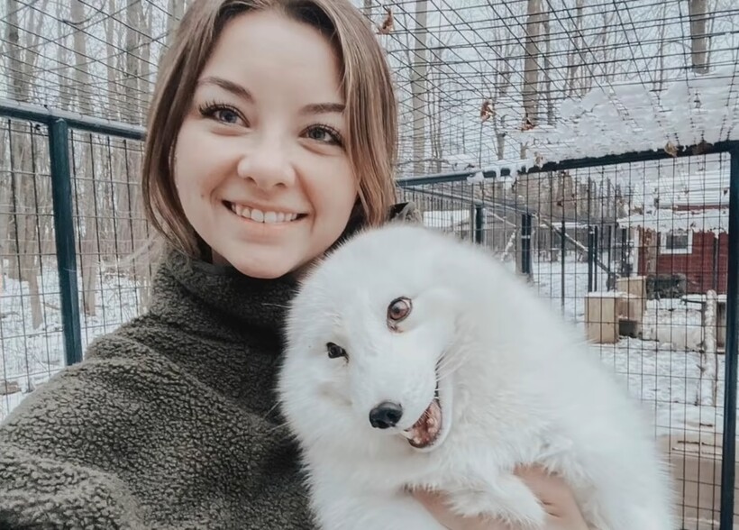 Блог - Девушка спасла лис, которые были живыми экспонатами, и теперь они не чают в ней души Девушка спасла лис, которые были живыми экспонатами, и теперь они не чают в ней души