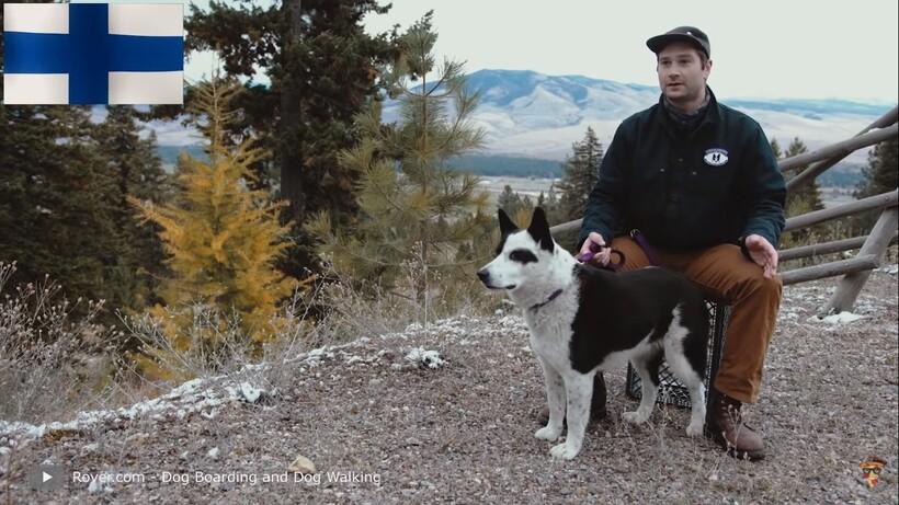 Блог - Видео: Собаки, которые в 100 раз опаснее волка Видео: Собаки, которые в 100 раз опаснее волка