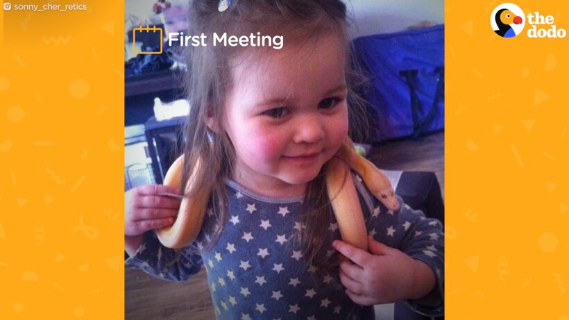 Блог - Видео: Девочка играет со своим домашним пятиметровым питоном  Видео: Девочка играет со своим домашним пятиметровым питоном