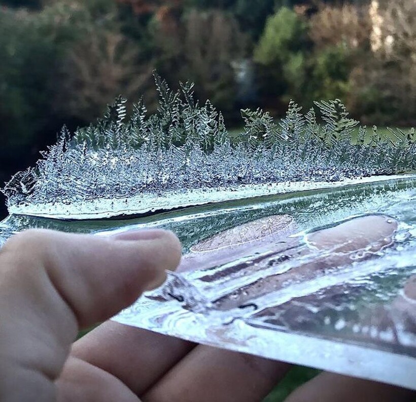 Блог - 13 кадров о том, что зима — это самый гениальный художник с нескончаемым вдохновением 13 кадров о том, что зима — это самый гениальный художник с нескончаемым вдохновением