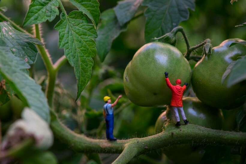 Блог - 30 миниатюрных сюжетов из мира Петера Чаквари, созданного при помощи обычных вещей 30 миниатюрных сюжетов из мира Петера Чаквари, созданного при помощи обычных вещей