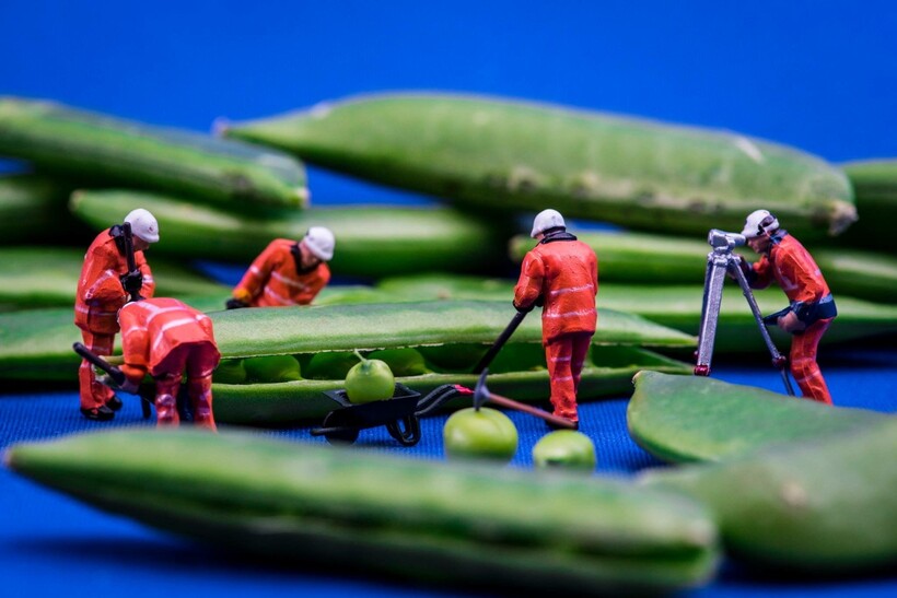 Блог - 30 миниатюрных сюжетов из мира Петера Чаквари, созданного при помощи обычных вещей 30 миниатюрных сюжетов из мира Петера Чаквари, созданного при помощи обычных вещей