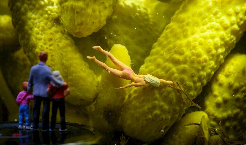 Блог - 30 миниатюрных сюжетов из мира Петера Чаквари, созданного при помощи обычных вещей 30 миниатюрных сюжетов из мира Петера Чаквари, созданного при помощи обычных вещей