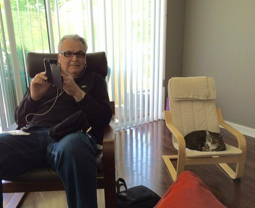 Блог - 10 людей, которые вначале были против «грязного кота», но потом что-то пошло не так 10 людей, которые вначале были против «грязного кота», но потом что-то пошло не так