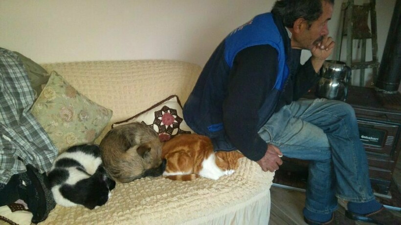 Блог - 10 людей, которые вначале были против «грязного кота», но потом что-то пошло не так 10 людей, которые вначале были против «грязного кота», но потом что-то пошло не так