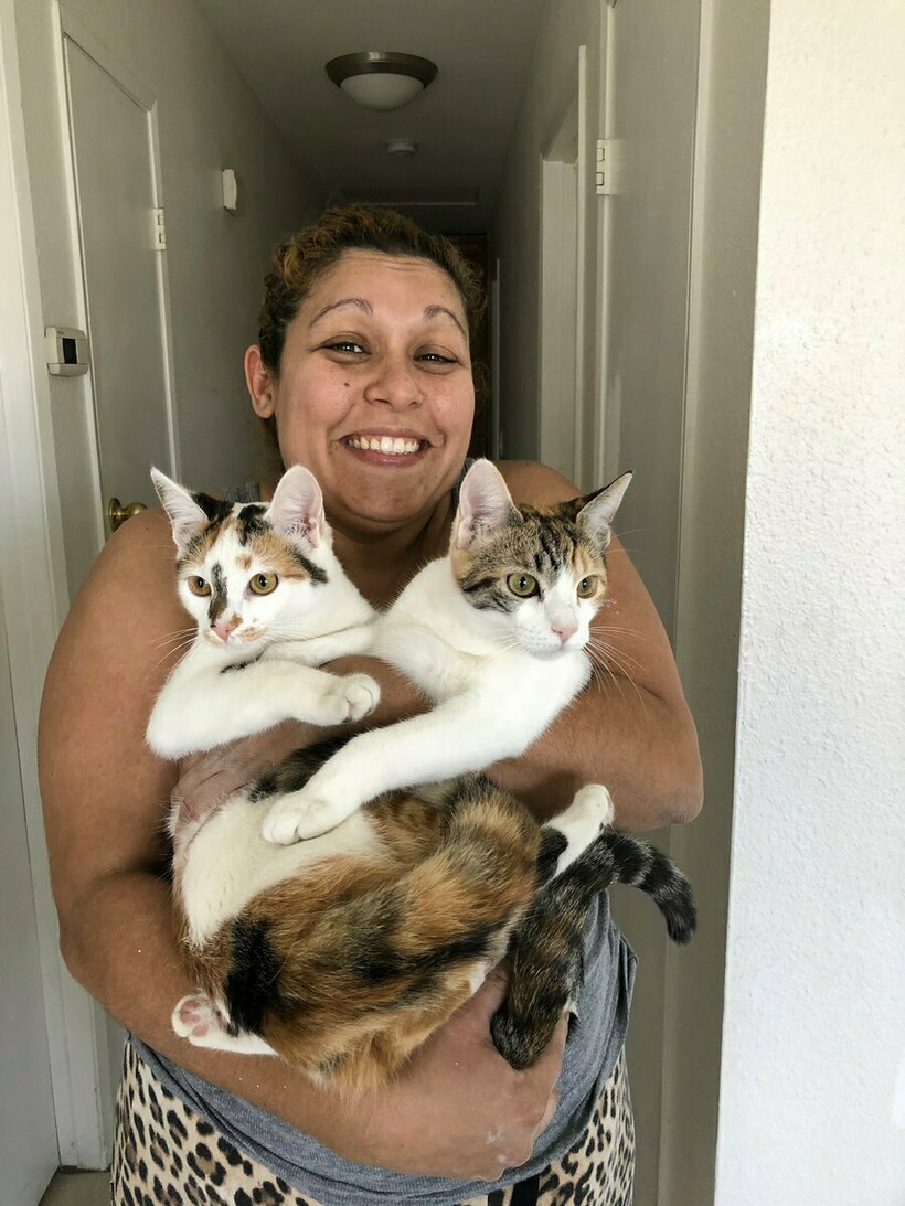 Блог - 10 людей, которые вначале были против «грязного кота», но потом что-то пошло не так 10 людей, которые вначале были против «грязного кота», но потом что-то пошло не так